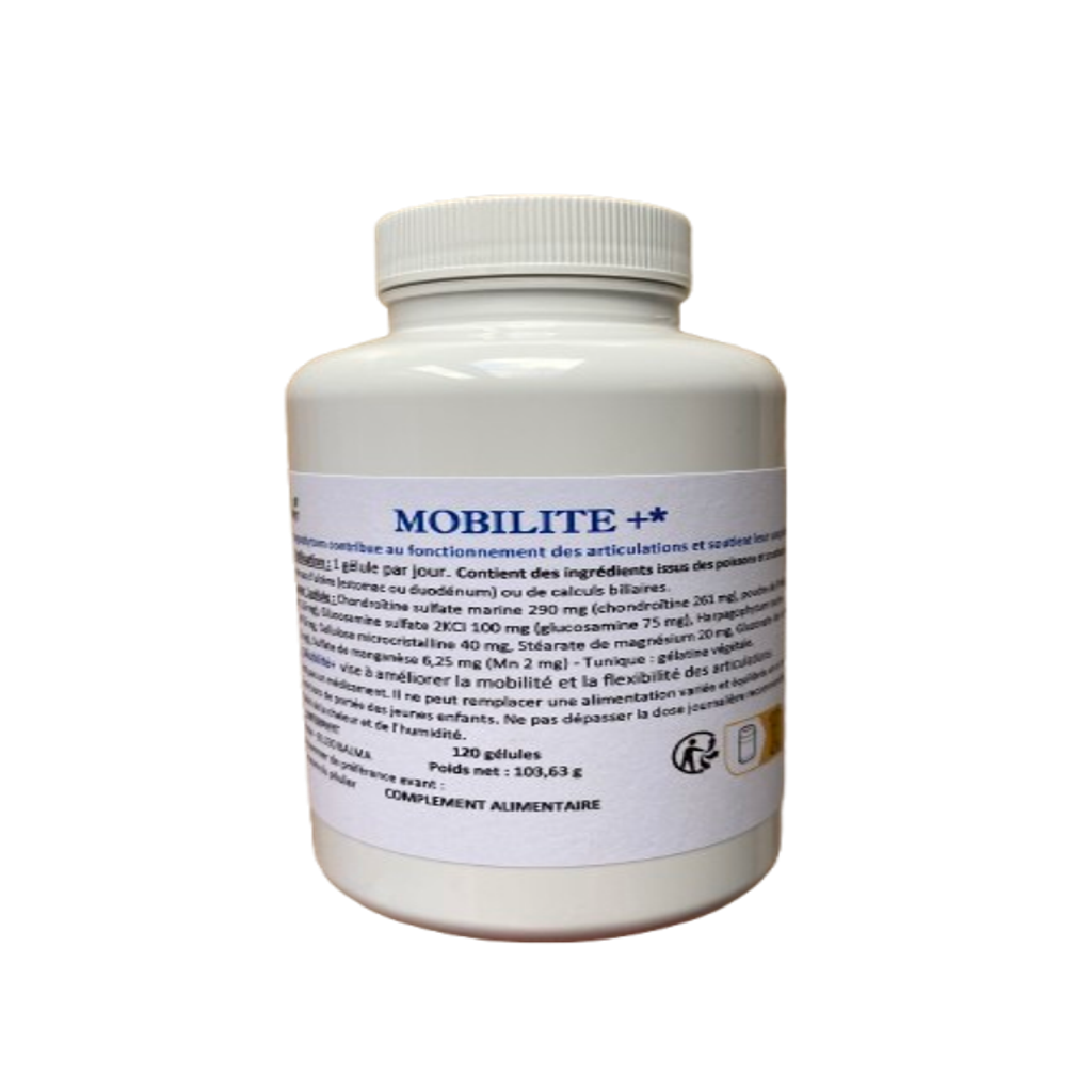 MOBILITE +